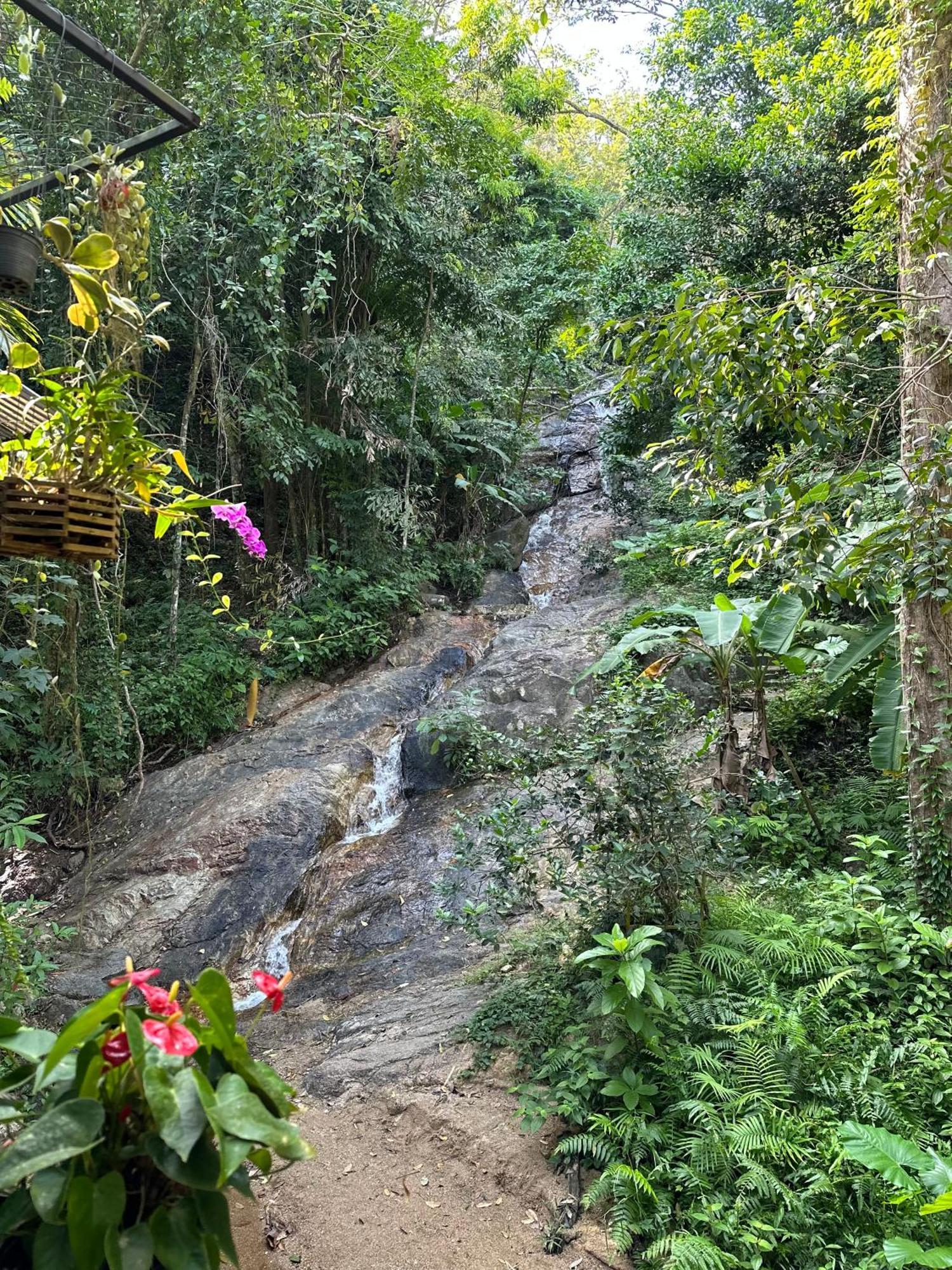 Nua Tone Resort Bang Tao & Cafe Esterno foto